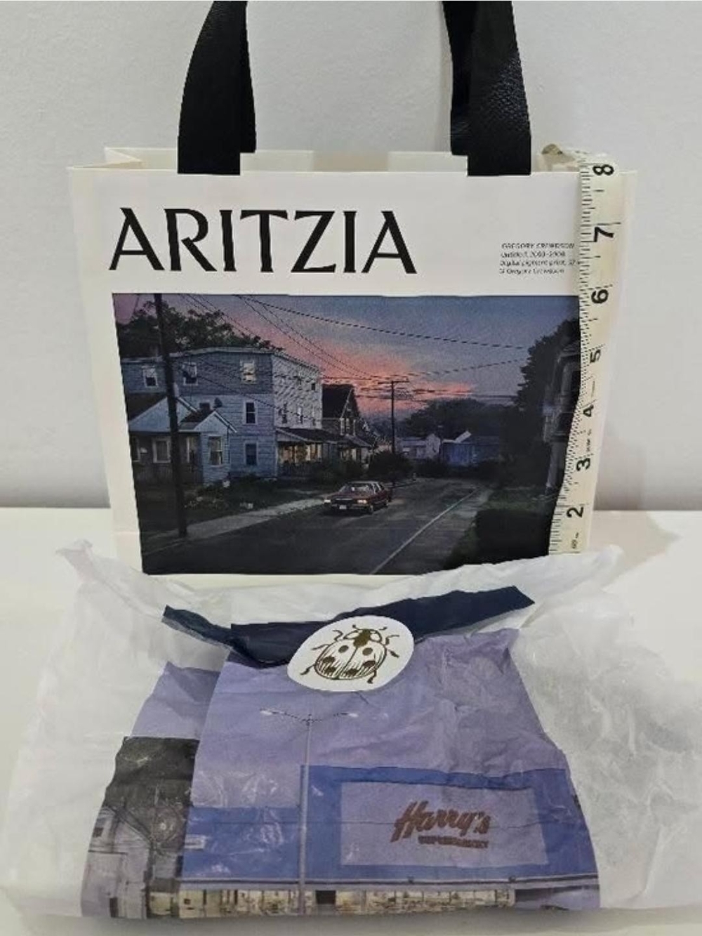 Aritzia White Tote with Scenic Printed Panel and Black Handles